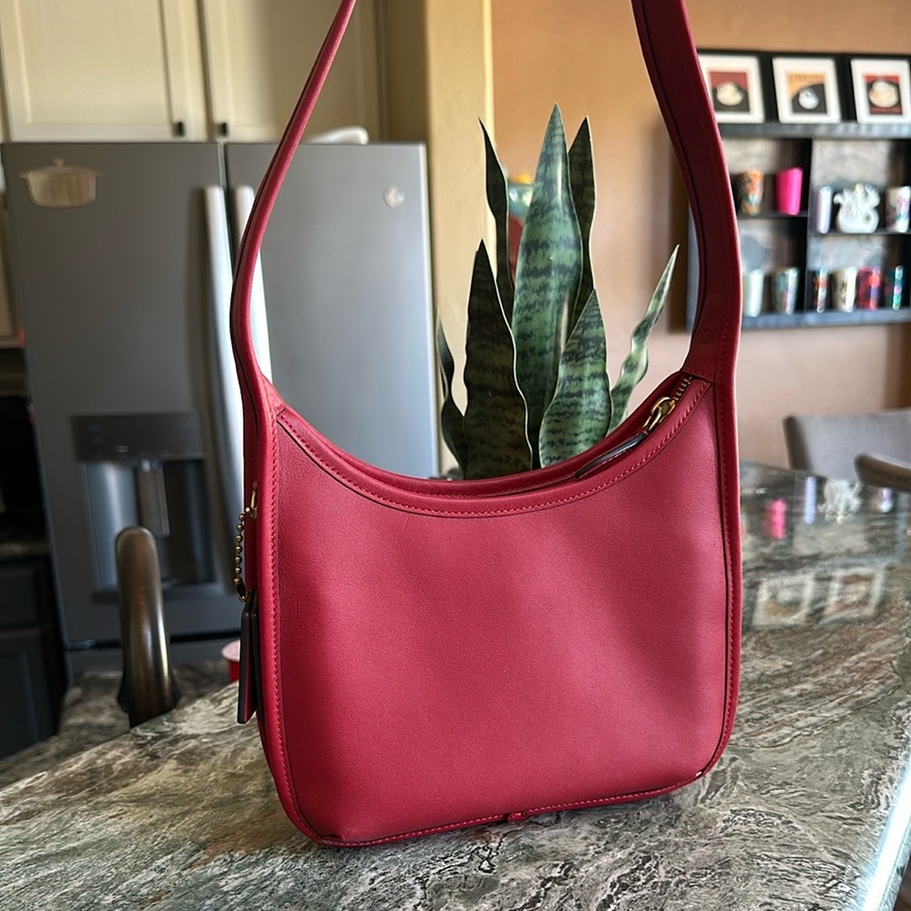 Coach Curve Zip Bag